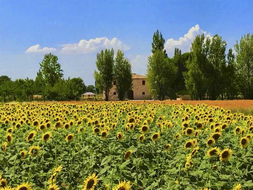 Apartamento Villa Licinia