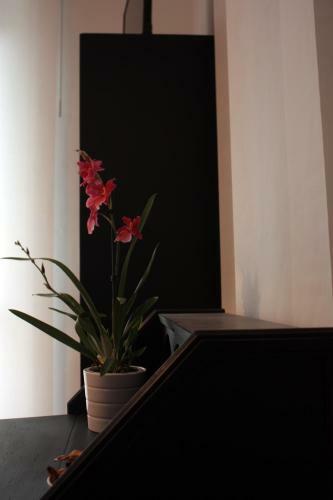 Hostal Affittacamere Parco Dei Canap�