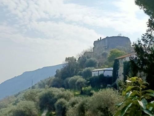 Hostal C� Degli Ulivi