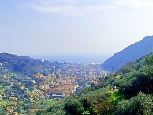 Hostal C� Degli Ulivi