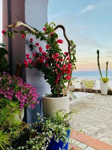 La Bouganvilla Charme & Relax Vista Mare