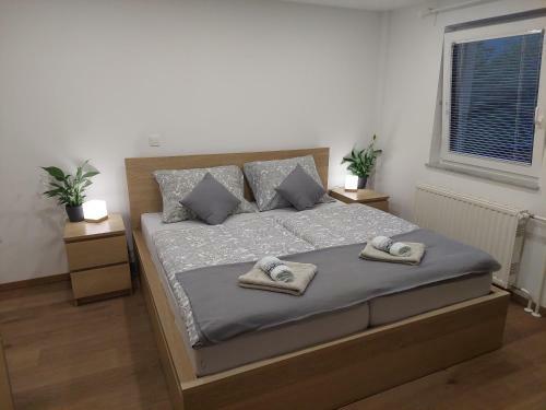 Hostal Apartments Su?nik