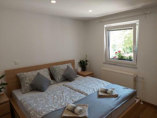 Hostal Apartments Su?nik