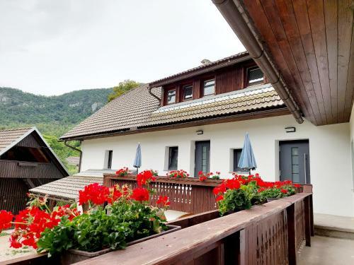 Hostal Apartments Su?nik