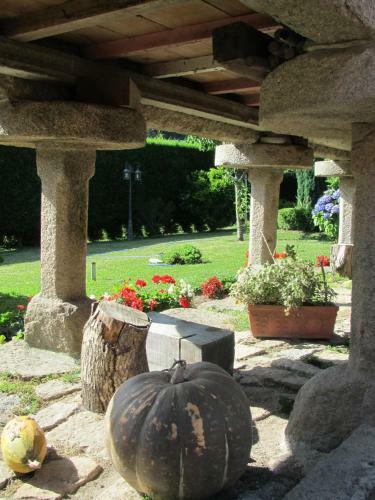 Apartamentos Mars�