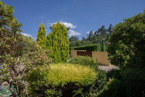 Liiiving In Caminha | Countryside Pool House
