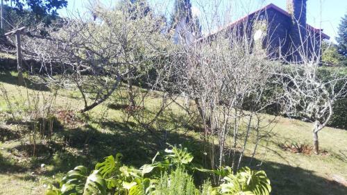 Chalet Pico Das Pedras