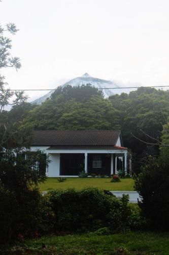 Casa Amaral