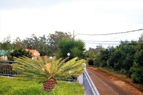 Chalet Das Estrelas