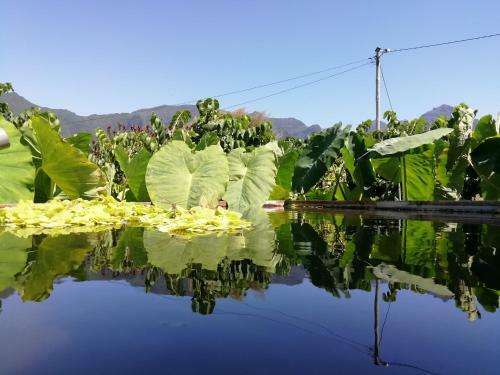 Agroturismo Granny's Farm