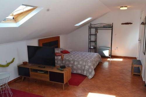 Apartamento Lazy Lizard Studio