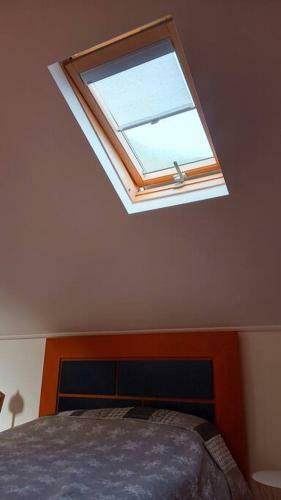 Apartamento Lazy Lizard Studio