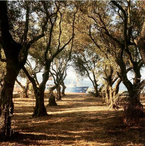 Apartamento O Pescadinha