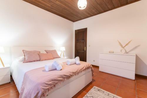 Casa Do Pinheiro With Shared Swimming Pool