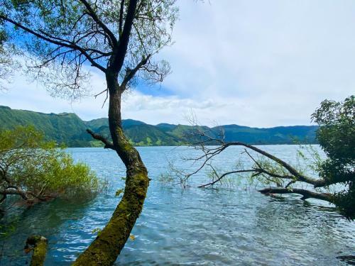 Sete Cidades Nature Villa
