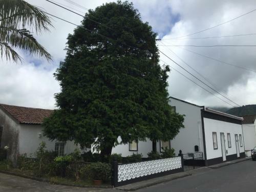 Apartamento The Cedar Tree House Studio 48