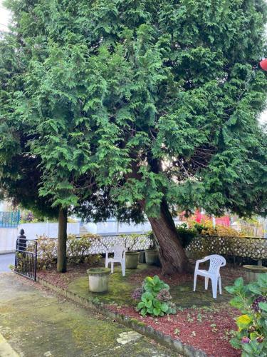 Apartamento The Cedar Tree House Studio 48