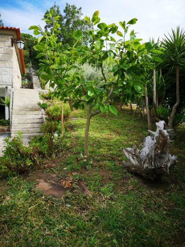 Encosta Do Douro - Rio Douro