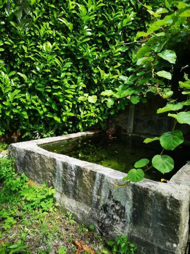 Encosta Do Douro - Rio Douro