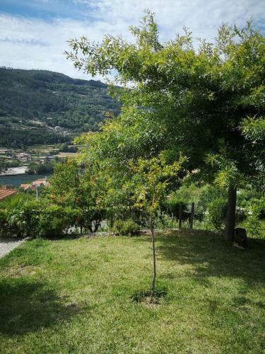 Encosta Do Douro - Rio Douro