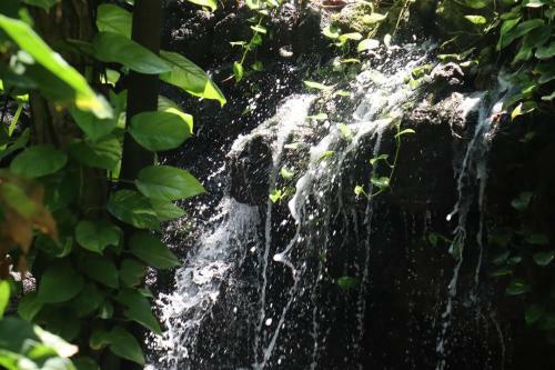 Greencamp Eco Resort