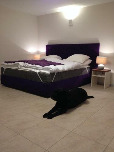 Apartamento Studio Hofer