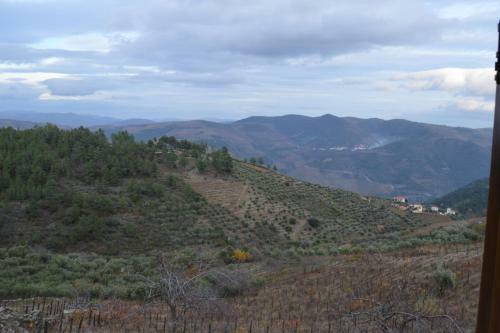Casa Da Vinha Em Tabua�o - Douro