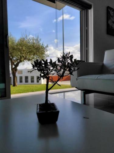 Apartamento Olive Ap.