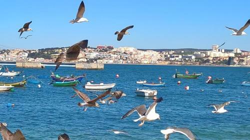 Apartamento Trafaria Garden Beach Houses