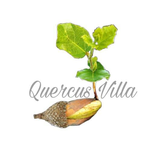 Quercus Villa