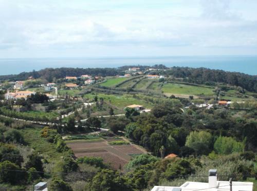 Casa Do Cha