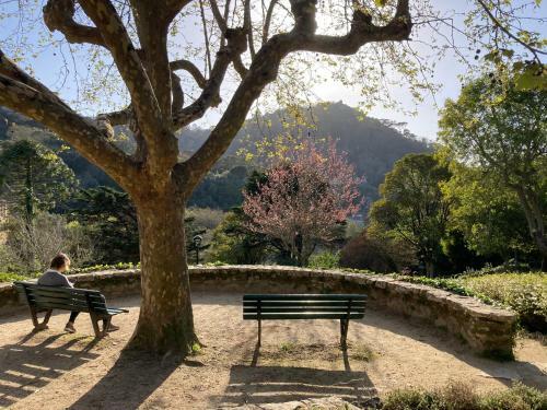 Sintra Sweet Apartment I - Free Parking