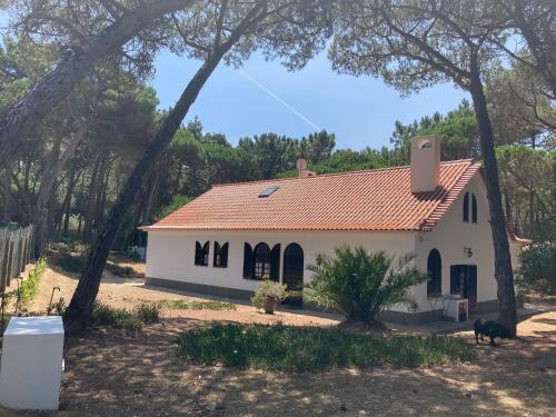 Moradia No Pinhal Com Piscina - Espa�o E Privacidade Para As Suas F�rias!