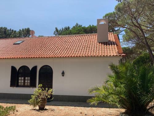 Moradia No Pinhal Com Piscina - Espa�o E Privacidade Para As Suas F�rias!