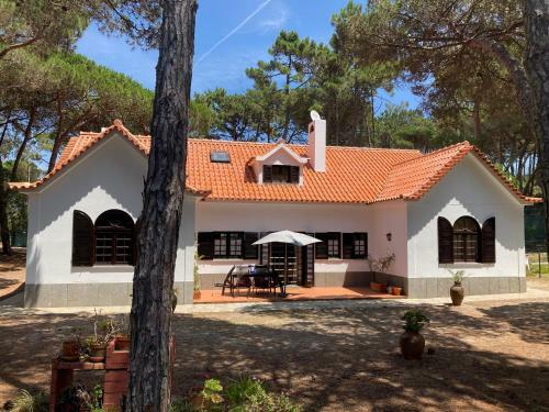 Moradia No Pinhal Com Piscina - Espa�o E Privacidade Para As Suas F�rias!