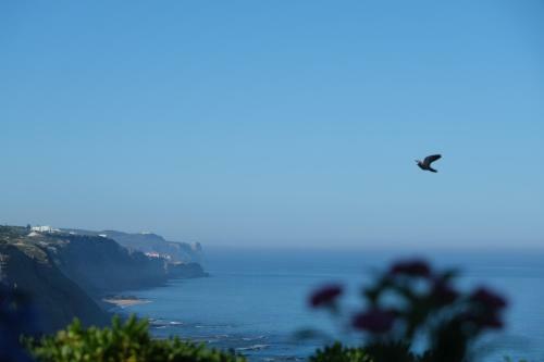 Villa Mega Ocean Magoito - Sintra