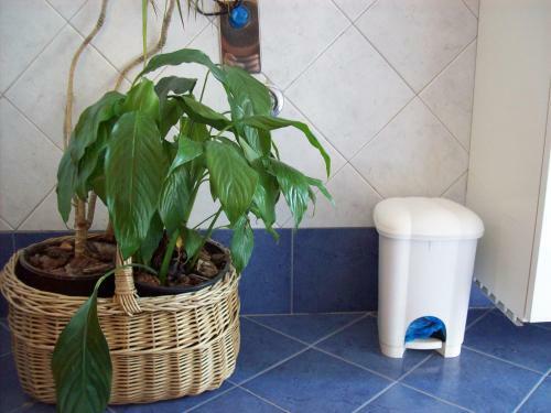 Apartamento Casa Mia