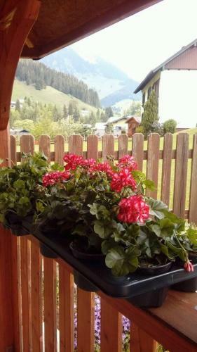 Hotel Gasthof Sch�nblick