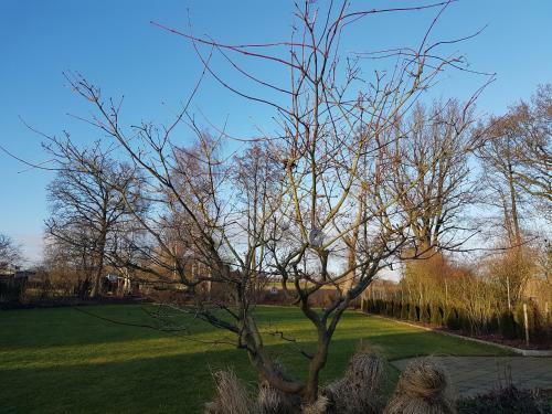 Apartamentos Appartement Gartenblick