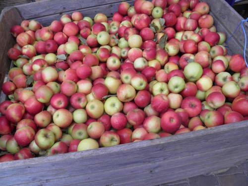 Apartamento Weingut-ferienhof Sch�fer