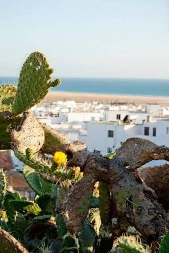 Hostal Los Bateles