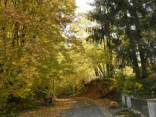 Apartamento Goldener Fuchs In Moschendorf
