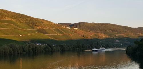 Apartment An Der Mosel