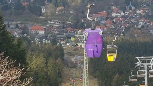 Apartamento Ferienwohnung Singer Am Erlebnisbocksberg