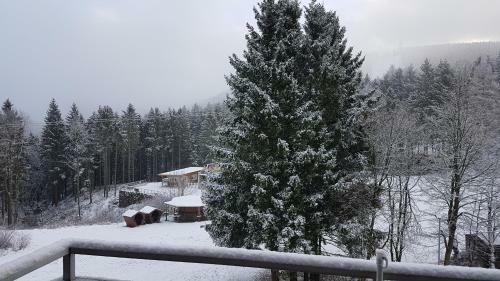 Apartamento Ferienwohnung Singer Am Erlebnisbocksberg