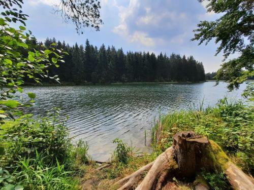 Apartamento Fewo Nici