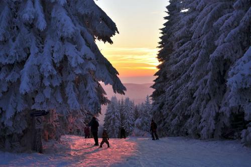 Harz Chalet Patronus (120qm & Sauna) Neben Stabkirche