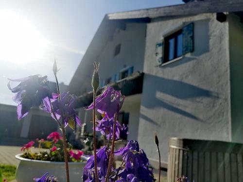 Apartamento Ferienwohnung Zw�lferkante