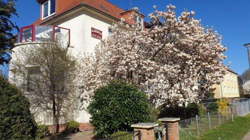 Apartamento Zimmervermietung Fam. Koltermann