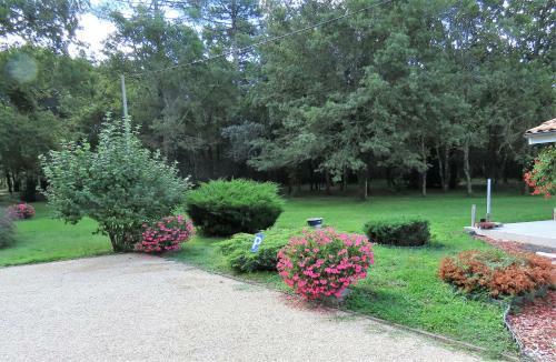 Les Maisons De L�on